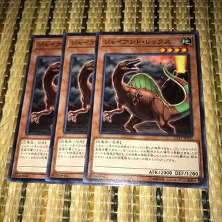 マドレース ジャイアント・レックス ノーマル