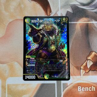 我怒の鎖 パンサーベア