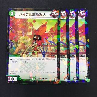 Rosa purpurea firmani