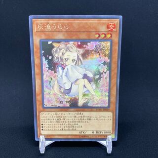 Ash Blossom & Joyous Spring (Umi external illustration) Secret Rare