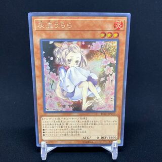 Ash Blossom & Joyous Spring (Umi external illustration) Secret Rare
