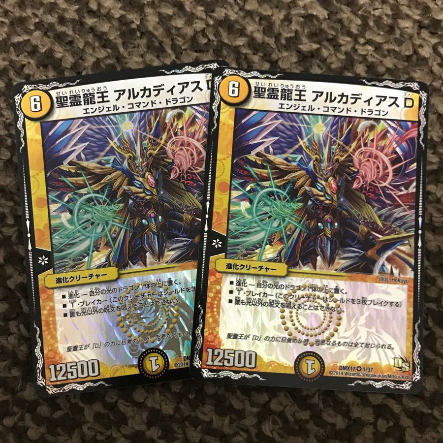 精霊龍王 アルカディアスD2枚