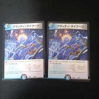 ブラッディ・タイフーン 2枚セット