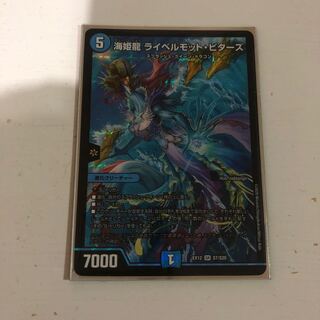 海姫龍 ライベルモット・ビターズ SR