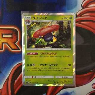 ラフレシア　にがにがかふん