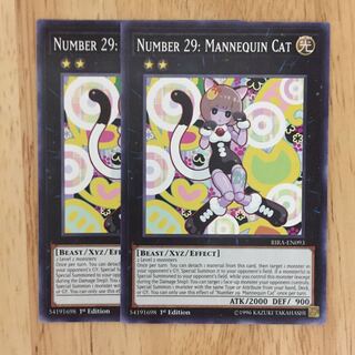 No.29 マネキンキャット 英語