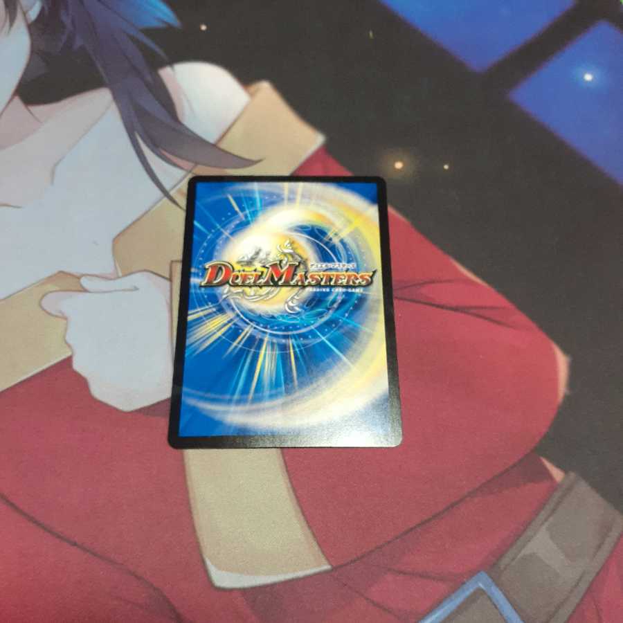 天命龍装 ホーリーエンド/ナウ・オア・ネバー