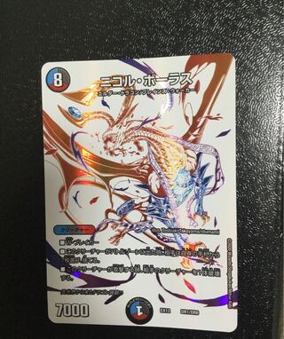 ニコル・ボーラス