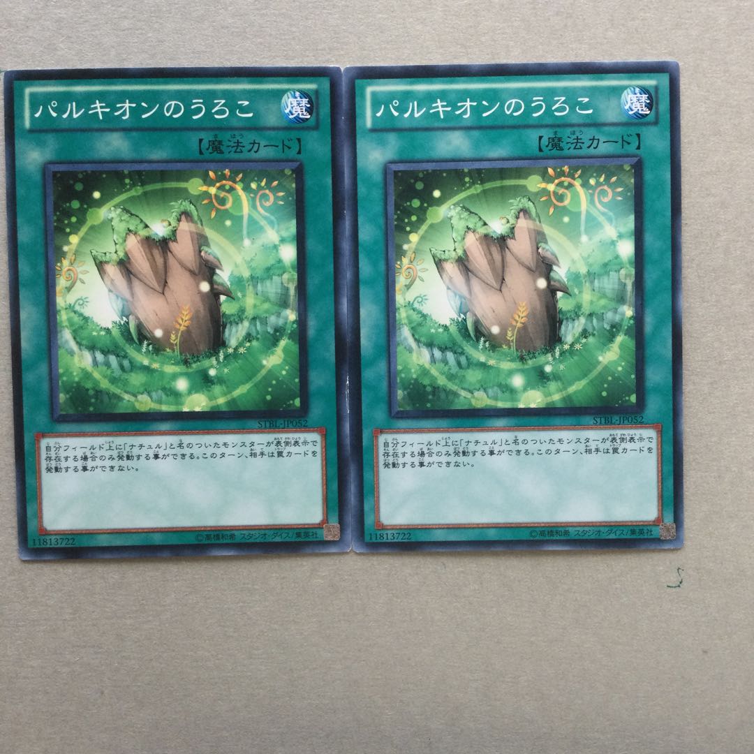 パルキオンのうろこ　２枚