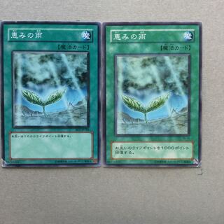 恵みの雨　２枚