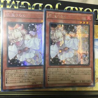 遊戯王　灰流うらら　アジア　2枚　セット　シークレット
