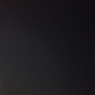 コッコルピア 1枚