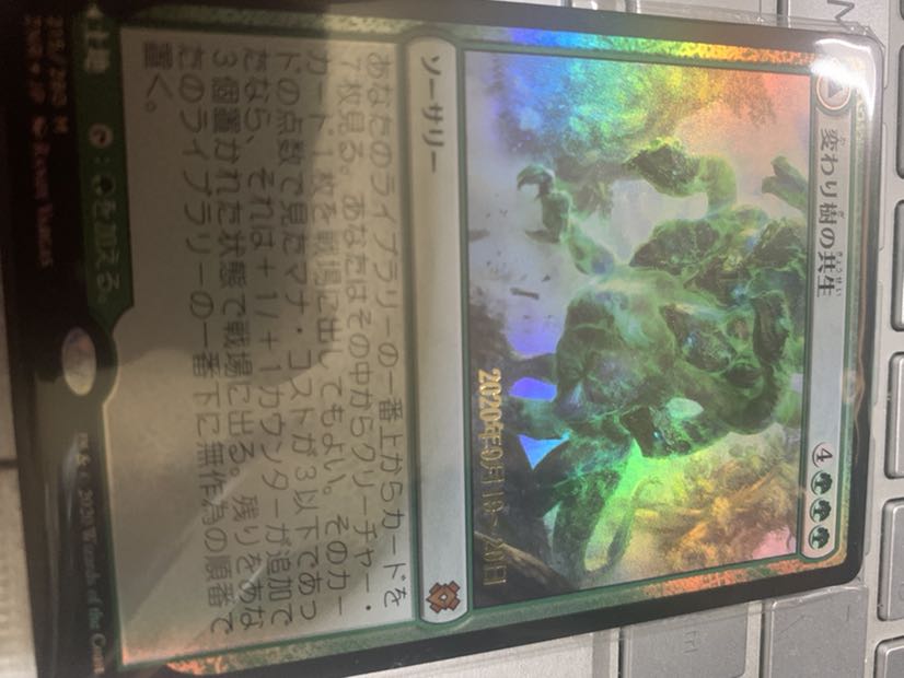 変わり樹の共生 プレリfoil 未開封