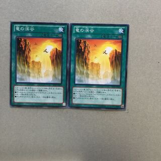 竜の渓谷　２枚