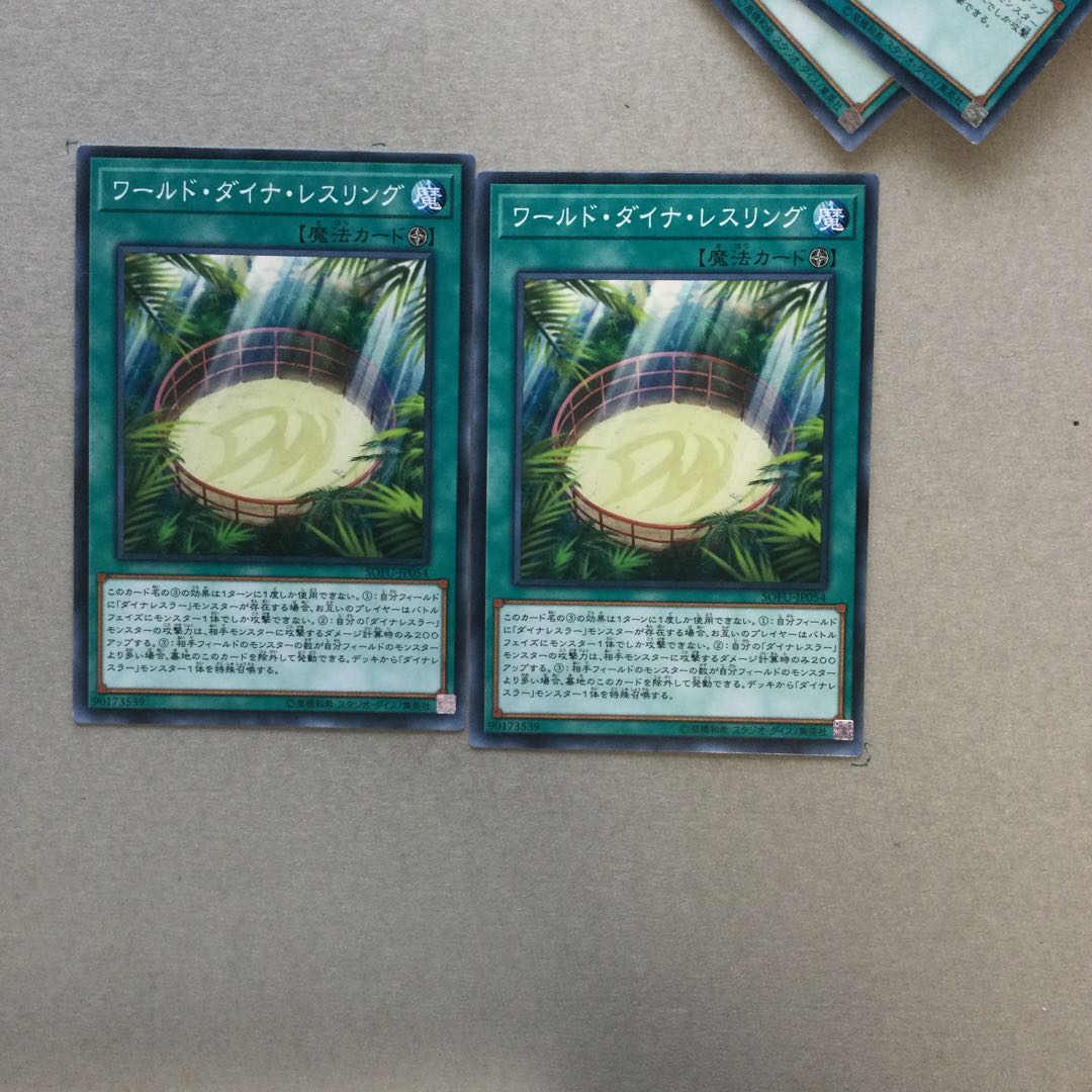 ワールド・ダイナ・レスリング　２枚