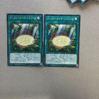 ワールド・ダイナ・レスリング　２枚