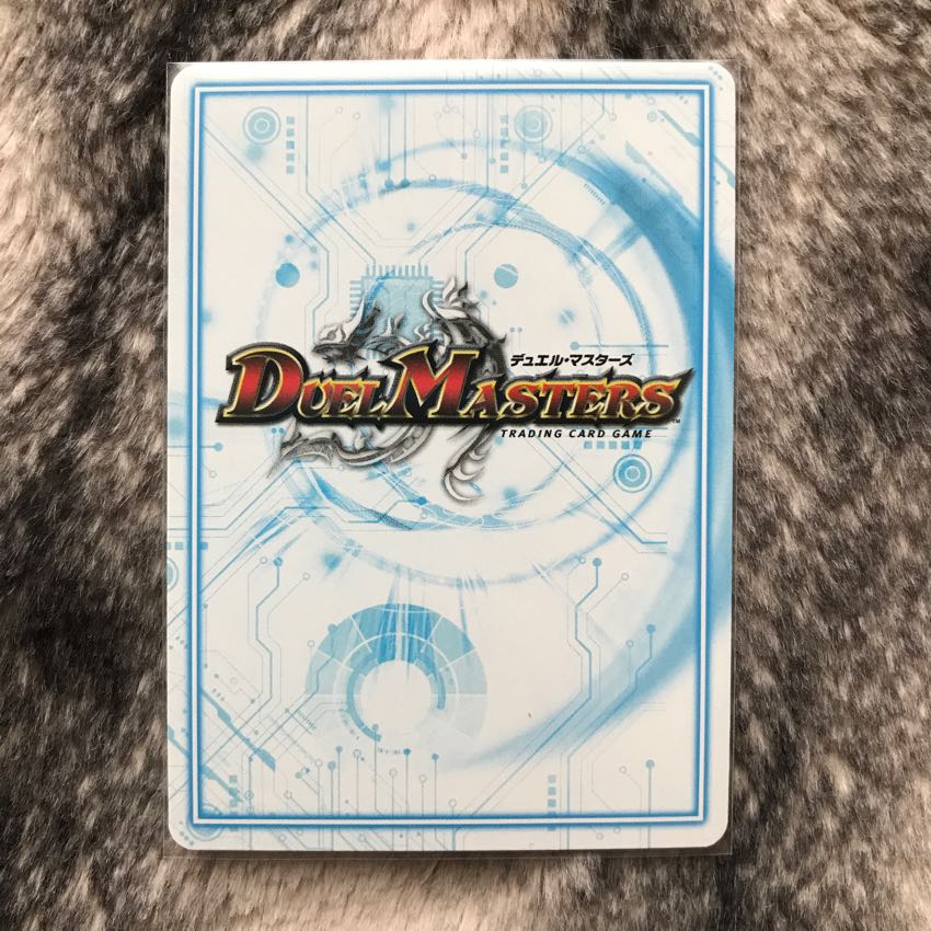 グッドルッキン･ブラボー チャチャリート様専用 1枚