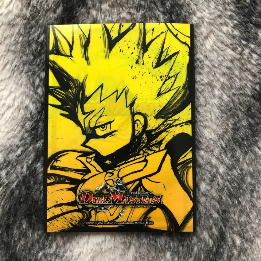 グッドルッキン･ブラボー チャチャリート様専用 1枚