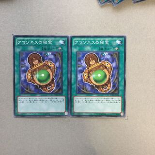 アマゾネスの秘宝　２枚