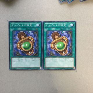 アマゾネスの秘宝　２枚