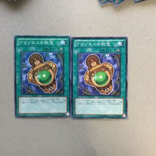 アマゾネスの秘宝　２枚