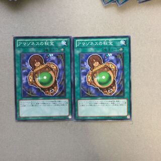 アマゾネスの秘宝　２枚