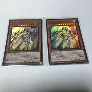 教導の騎士フルルドリス　2枚