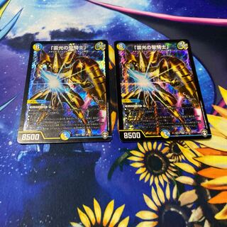 「雷光の聖騎士」