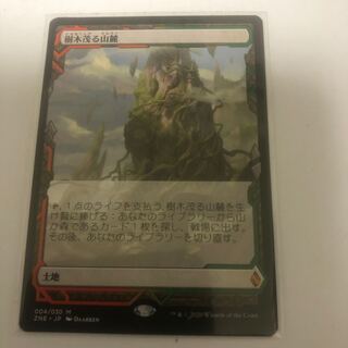 ゼンディカーの夜明け　エクスペディション　樹木茂る山麓