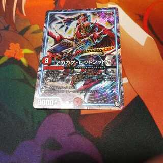 アカカゲ・レッドシャドウ