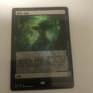 りょん様専用　エクスペディション　霧深い雨林&汚染された三角州