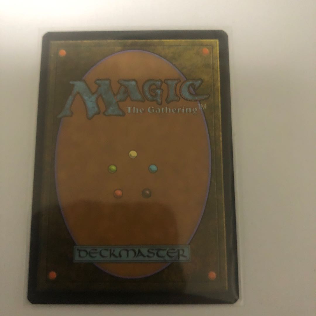 りょん様専用　エクスペディション　霧深い雨林&汚染された三角州