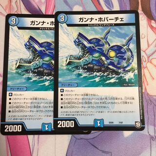 ガンナホバーチェ  2枚 2枚