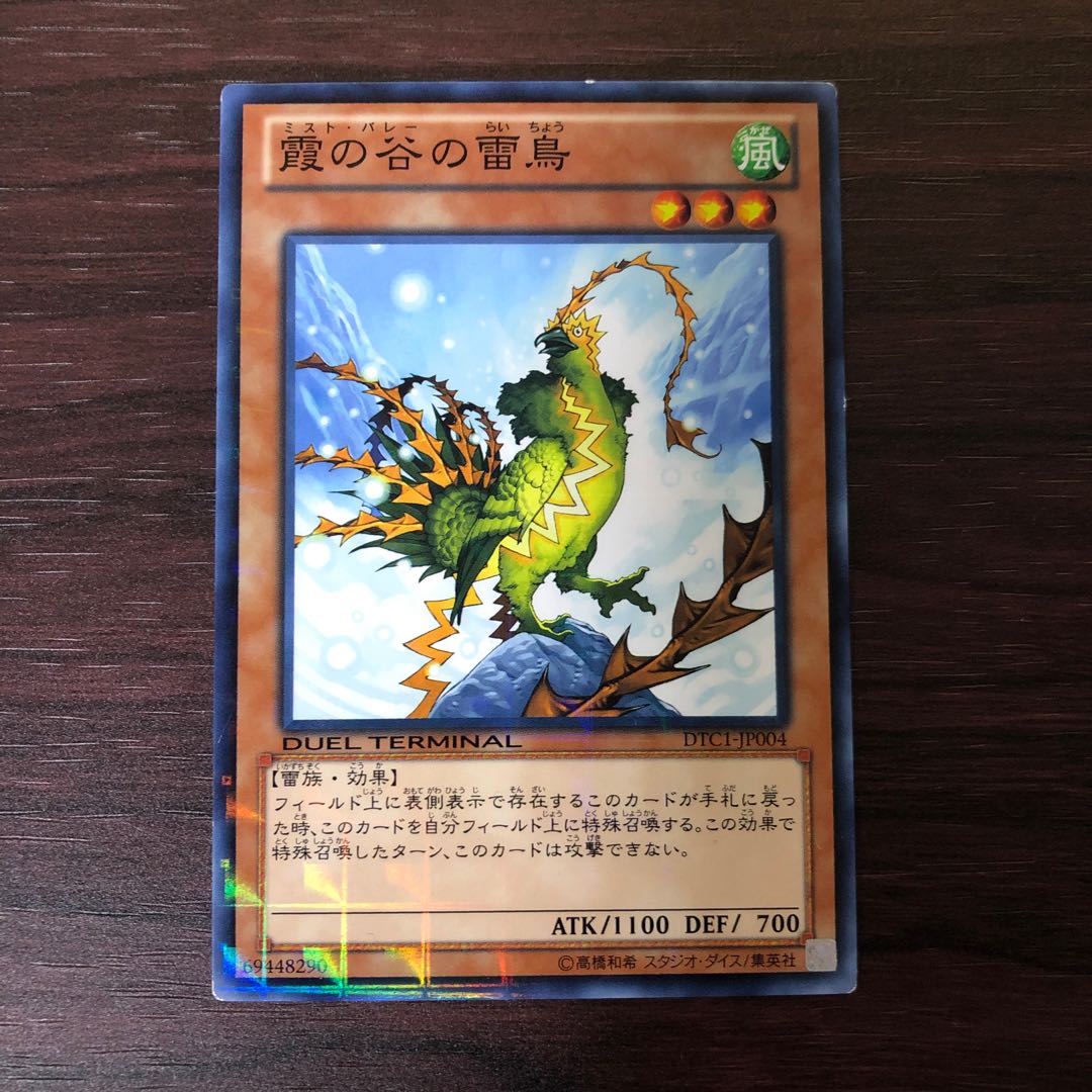 霞の谷の雷鳥　DTC