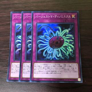 バージェストマ・ディノミスクス　3枚