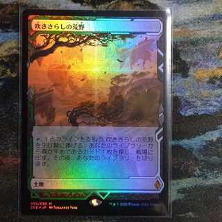 吹きさらしの荒野（JP）ゼンディカーエクスペディション　Foil