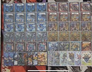 Red and Blue Dolphin Rock Recruitment