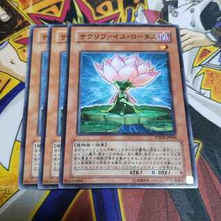 サクリファイス・ロータス ノーマル 遊戯王 虎ふぐ