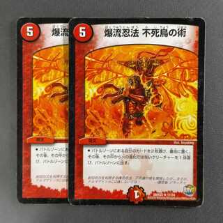 爆流忍法 不死鳥の術　2枚