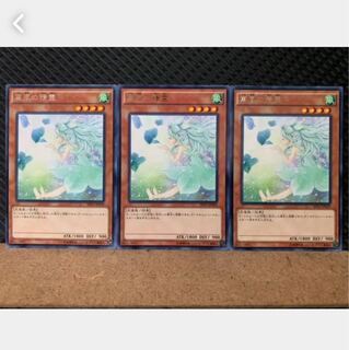 【ぽぽたん】遊戯王 5227 裏風の精霊 3枚 レア