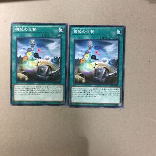 機殻の生贄　２枚