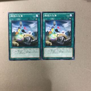 機殻の生贄　２枚