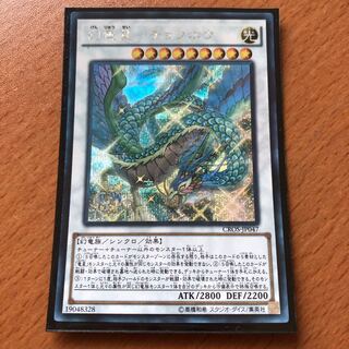 日焼けあり 幻竜星チョウホウ シク