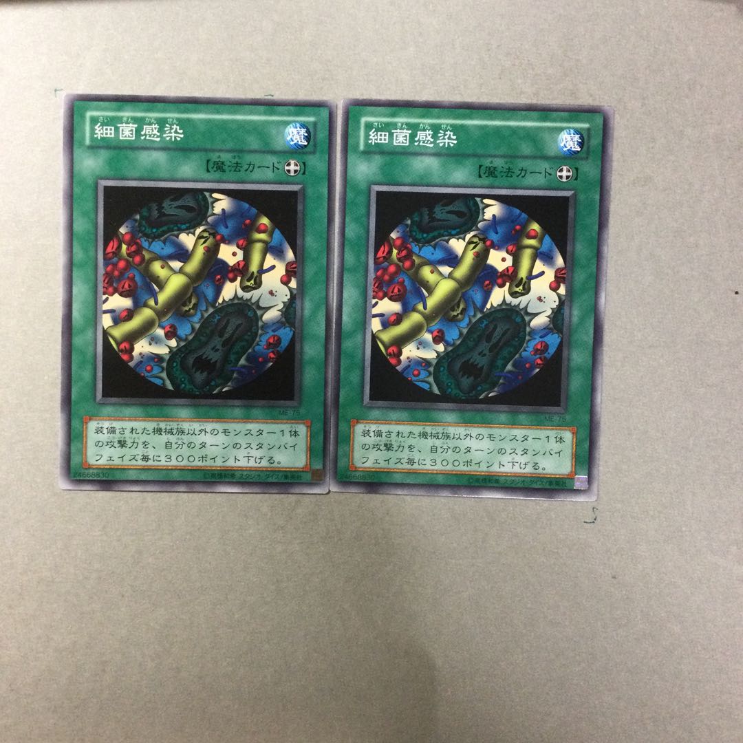 細菌感染　２枚