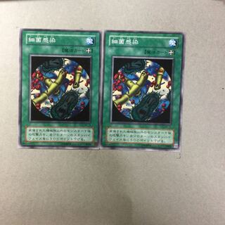 細菌感染　２枚