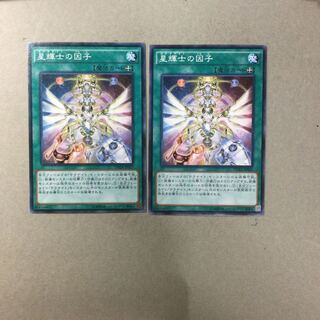 星輝士の因子　２枚