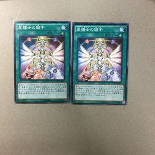 星輝士の因子　２枚