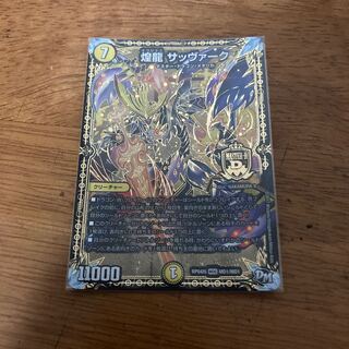 煌龍 サッヴァーク