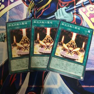 転生炎獣の聖域