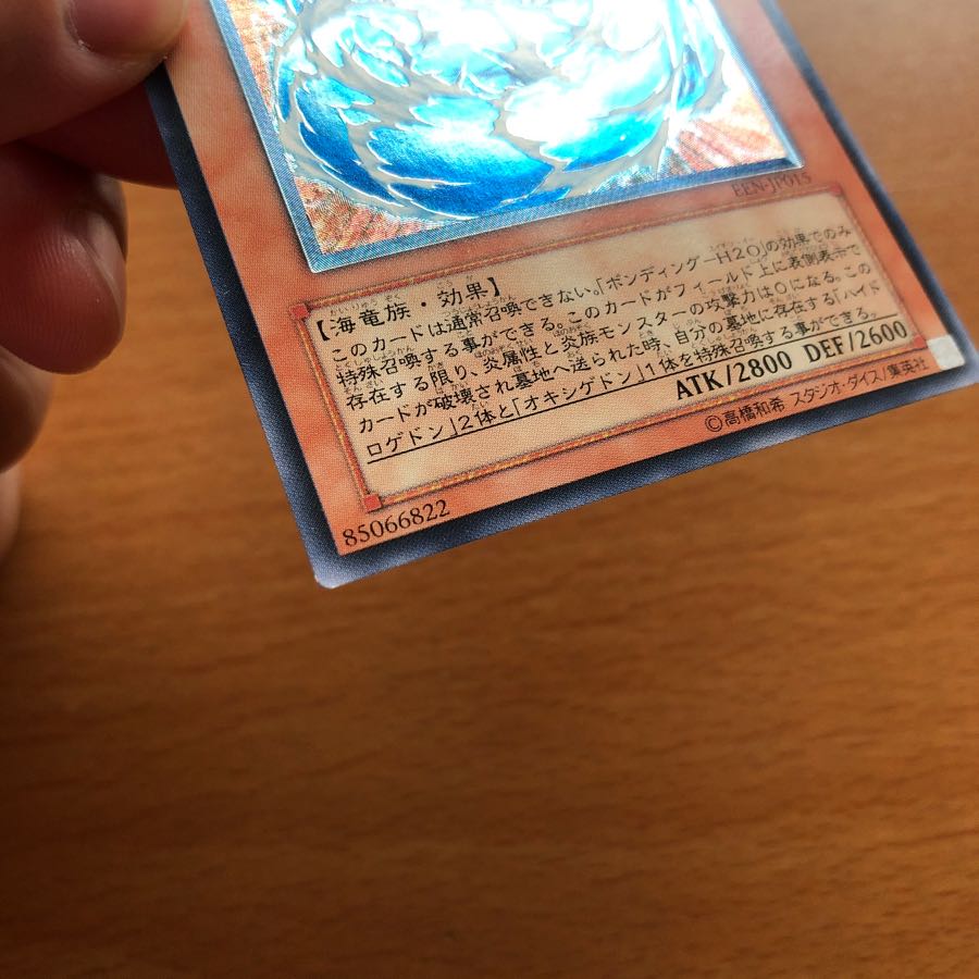 ウォータードラゴン レリーフ